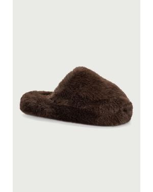 Scholl Ciabatte Da Donna Fluffy Mule - Marrone