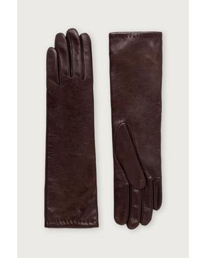 Weekend by Maxmara Guanti Da Donna - Marrone