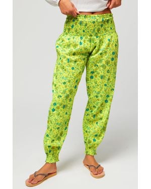 Aspiga Harem Trousers - Green