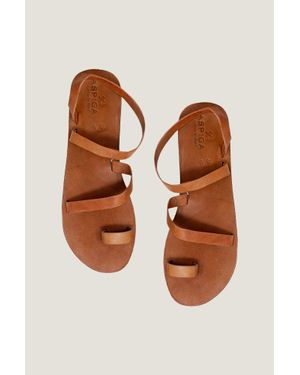 Eunice Aspiga Leather Toe Ring Design Soft Sole Sandal - Brown