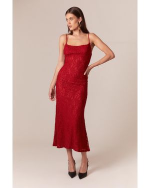 Bardot Ruby Lace Midi Dress - Red