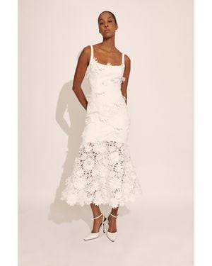 Bardot Marico Lace Midi Dress - Natural