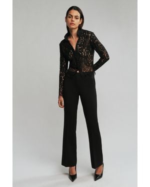 Bardot Natalie High Rise Flared Pant - Black