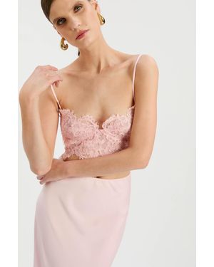 Bardot Linella Lace Bralette - Pink