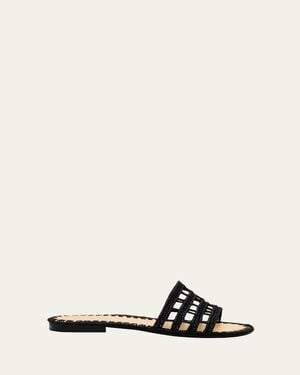Carrie Forbes Alana Raffia Flat Slide Sandals - White