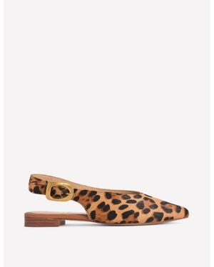 Boden High Cut Flat Point - Multicolour