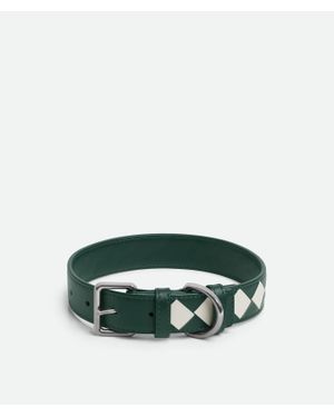 Bottega Veneta Medium Intrecciato Dog Collar - Green