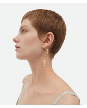 Bottega Veneta Drop Earrings - Brown