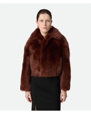 Bottega Veneta Cropped-Blouson Aus Toscana-Shearling - Braun