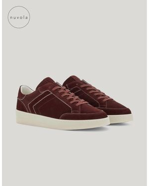 Canali Nuvola Burgundy Suede Sneakers - Brown