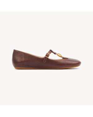 Chloé Leonore Ballerina 100% Lambskin - Brown