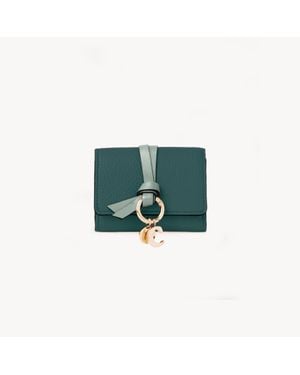 Chloé Mini Alphabet Tri-fold In Grained Leather - Green