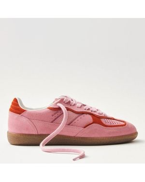 Alohas Tb.490 Rife Suede Sneakers - Pink