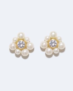 COMPLETEDWORKS Dandelion - White
