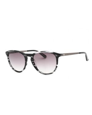 Lacoste Modern Round Acetate Sunglasses - Multicolor