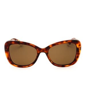 Polaroid Pld 4132/S/X Sunglasses - Brown