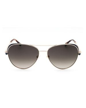 Kate Spade Katalina/G/S Sunglasses - Brown