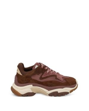 Ash Suede And Mesh Lace-Up Mini Sneaker With Rubber Sole - Brown