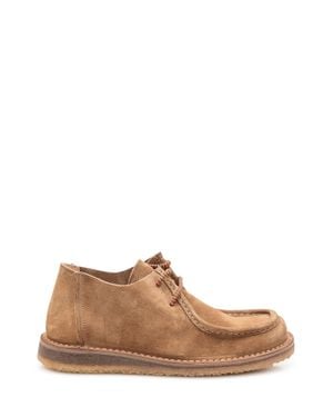 Astorflex Suede Lace-Up Stringata Shoes - Brown