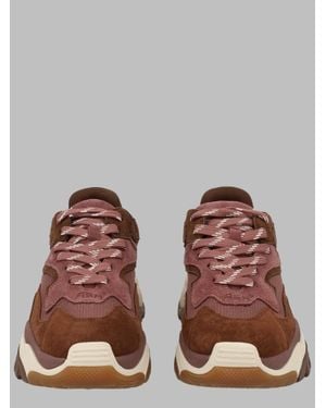 Ash Suede Sneaker With 5 Cm Sole "Addict" - Brown