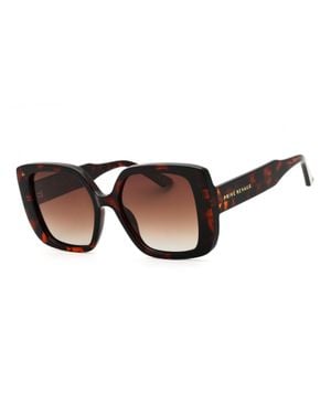 Privé Revaux Oversized Sunglasses - Brown