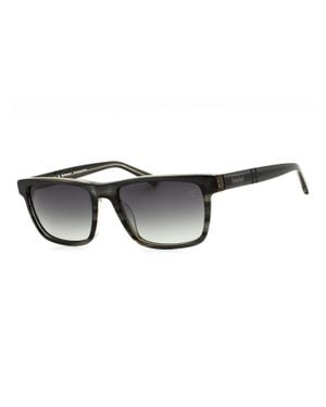 Timberland Rectangular Acetate Polarized Sunglasses - Black