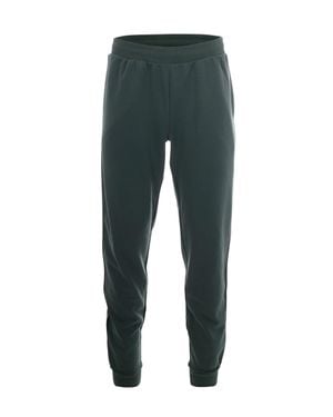 EA7 Casual Pants - Green