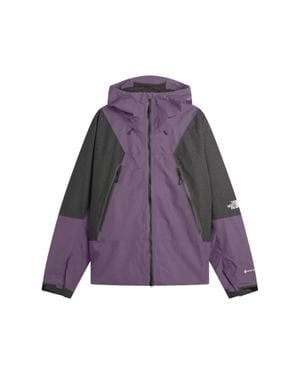 The North Face Gtx Mountain Light Jacket - Purple