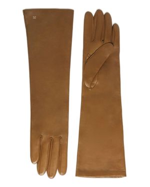 Max Mara Long Gloves Afidee - Brown