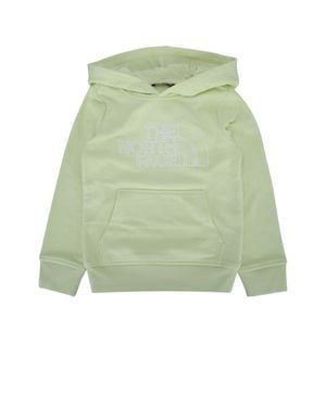 The North Face Teen Drew Peak Light Reg Hoodie - Green