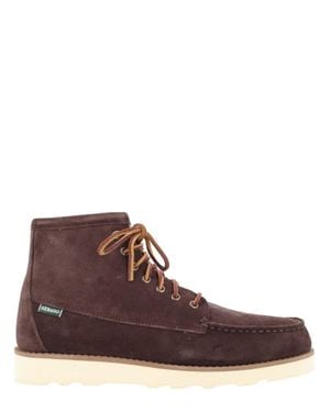 Sebago Sebago - Brown