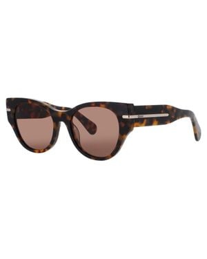 Quay Chit Chat Acetate Sunglasses 53-19-140 - Black