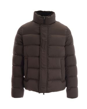 Herno Hoodless Puffer Jacket With Stand Collar - Brown