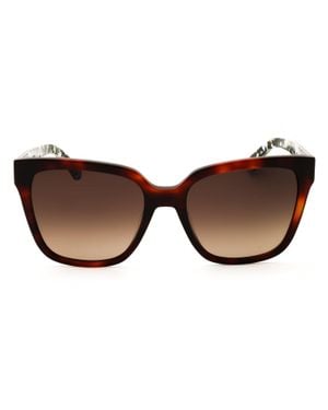 Kate Spade Ks Kiya 2/G/S Sunglasses - Brown
