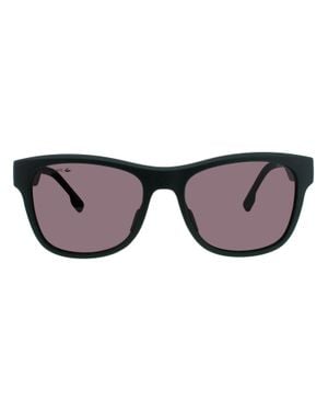 Lacoste L6043 S Sunglasses - Brown
