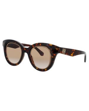 Loewe Cat-Eye Acetate Sunglasses - Black