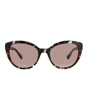 Kate Spade Amberlee/S Sunglasses - Brown