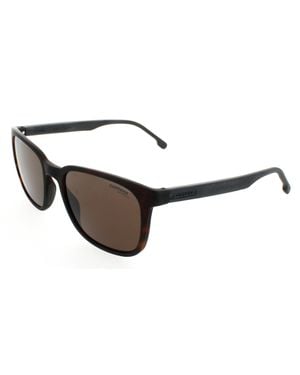 Carrera 8046/S Sunglasses, 54-19-145 - Black