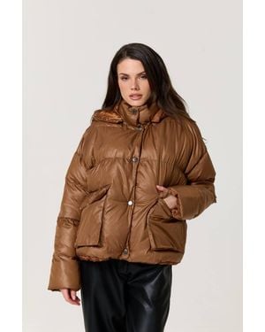 Liquorish Hooded Puffer Jacket - Brown