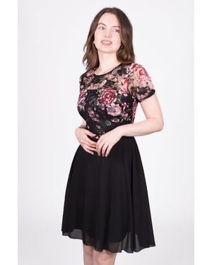 Solo Floral Lace Bodice Dress - Black