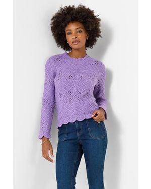 Joe Browns Freida Fancy Knit Jumper - Purple