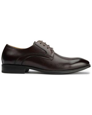 Sole Jareth Derby Shoes - Brown