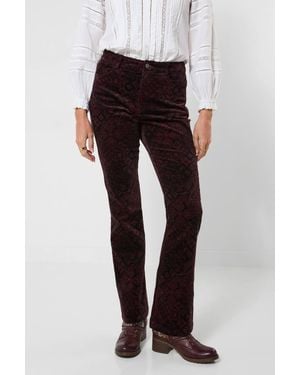 Joe Browns Printed Moleskin Trouser - Red