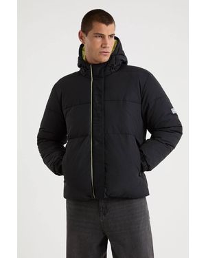 Nautica Falun Padded Jacket - Black