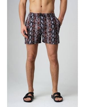 Influence Animal Print Elasticated Shorts - Black