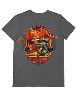 Dungeons & Dragons Adventure Awaits T-Shirt - Grey
