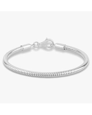 Rosa Lea Snake Chain Charm Bracelet Am-2Thb013504-21 - Metallic