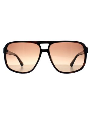 Timberland Aviator Dark Havana Polarized Tb00031 - Brown