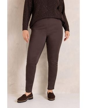 Evans Skinny Jeggings - Brown