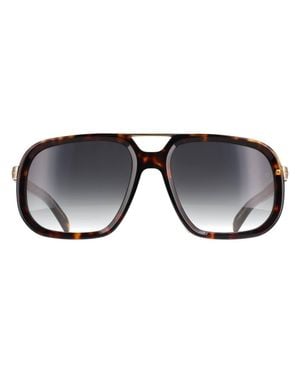 David Beckham Square Havana Dark Gradient Db 7101/S - Black